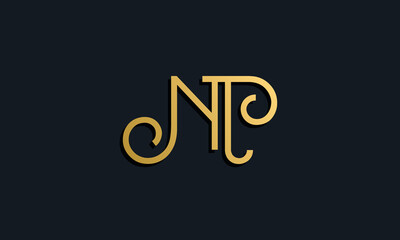 Luxury fashion initial letter NT logo.