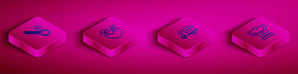 Set Isometric line Meteorology thermometer, Coconut cocktail, Rv Camping trailer and Bodybuilder muscle icon. Vector