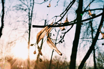 Processed with VSCO with c1 preset