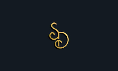 Luxury fashion initial letter SD logo.
