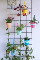 A wire mesh with hanged decorative colorful flower pots with a variation of beautiful potted flowers.