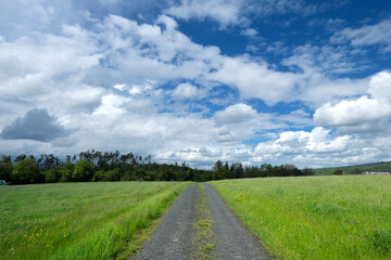 Feldweg durch Wiese mit hohem Gras zum Horizont mit Bäumen und blauer Himmel mit vielen weißen Wolken - Stockfoto