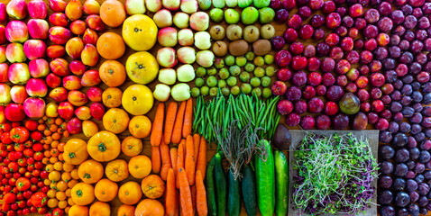 Fruit haul in New Zealand variety of fruits and veggies, organic and vegan.