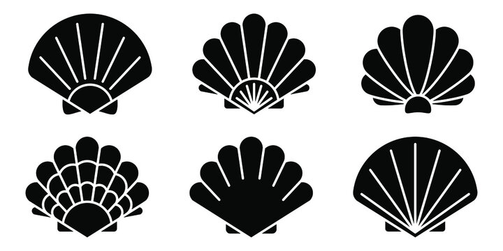 Sea shell icon. Set of pearl shell icons. Vector illustration. Shell vector icons. Black seashell icons