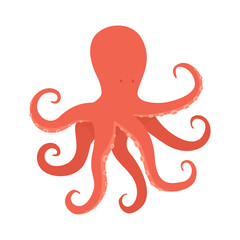 Vector illustration of octopus isolated on white background.