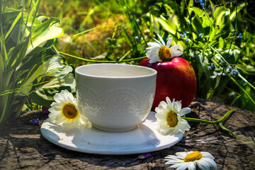 early sunny summer morning in nature and a white cup of tea on the green grass and fruit