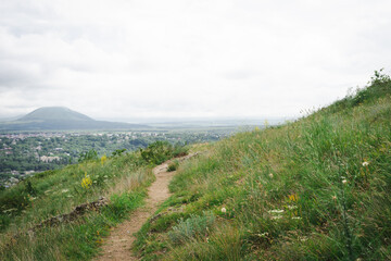 Beautiful spring meadow. Sunny clear sky with sunlight in mountains. Colorful field full of flowers.