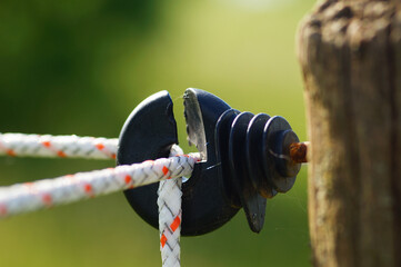 Detail of an electric fence.
