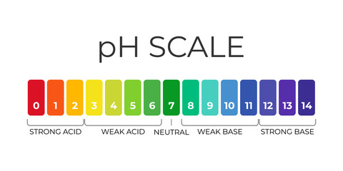 pH value scale chart for acid-alkaline solution. Acid-base balance infographic isolated on white background. Indicator for concentration of hydrogen ion in solution. Vector illustration - obrazy, fototapety, plakaty