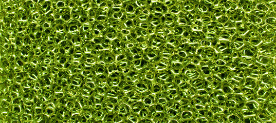 Green  sponge. 3D structure, background, texture. - obrazy, fototapety, plakaty