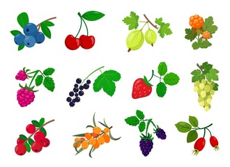 Bright fresh juicy Berry with leaves collection.