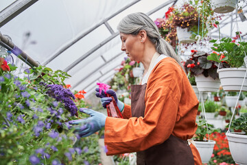 Fototapeta na wymiar Skillful old gardener wearing apron is working at the greenhouse