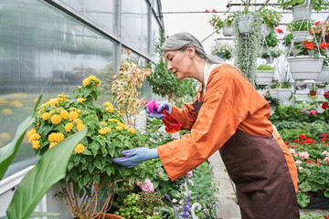 Obraz premium Woman in professional apron standing on plantation at the greenhouse
