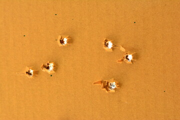9 mm bullet holes in cardboard.