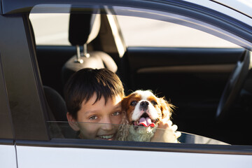 Teenager boy smiling looking through window of car with his dog cavalier king charles spaniel, dreaming to go on a trip