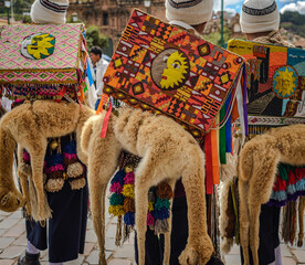 Cuzco festival