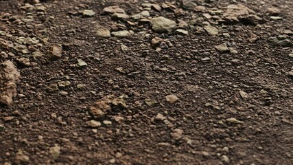 closeup of dirty ground road - Powered by Adobe