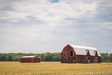 Obraz premium Old abandoned red barn in field