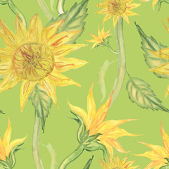 seamless pattern sunflowers with leaves and branches on a green background