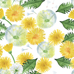 seamless pattern dandelions and fluffs with leaves on white background