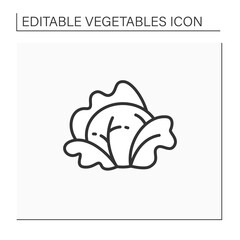 Cabbage line icon. Fresh leaf vegetable. Edible plant. Vegetarian, healthy nutrition.Agriculture concept. Isolated vector illustration. Editable stroke