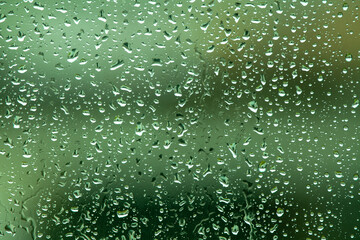 water drops on green background