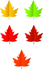 Autumn Leaves Set Vector İllustration