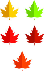 Autumn Leaves Set Vector İllustration