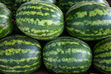 A pile of organic watermelons at a farmer's market