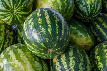 A pile of organic watermelons at a farmer's market
