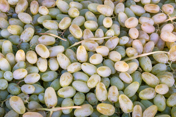 White grapes on the store counter