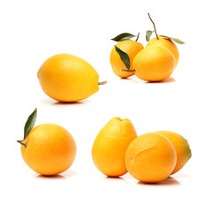 set of orange fruits isolated