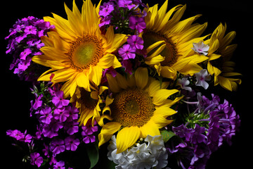 Obraz premium young sunflowers and purple phlox. bouquet on a dark background.