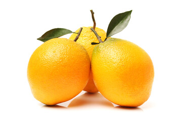 Orange fruit on the white background 