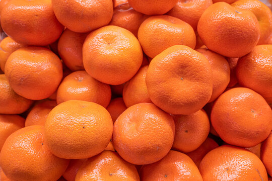 Fresh Citrus Tangerines, Mandarins Pile