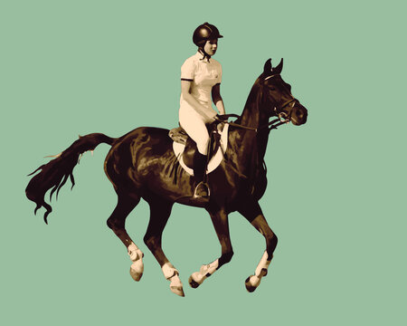 athlete riding a horse at a gallop, show jumping, realistic isolated colored image