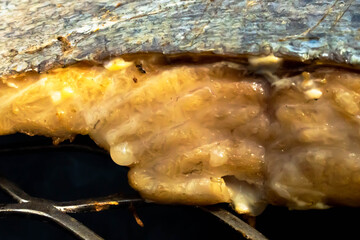 King Salmon Fillet with its scales up cooking above a fire pit on a sunny day of June 20, 2021....