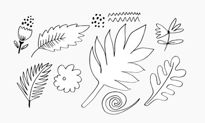 Fototapeta premium a collection of hand-drawn flower images such as bellflower, chrysanthemums, sunflowers, cotton flowers, and tropical leaves