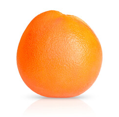one isolated grapefruit on a white background