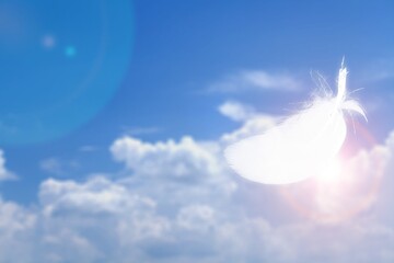 Soft and Light Fluffy White Feather Floating in The Blue Sky with Clouds.