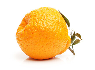  tangerine on a white background 