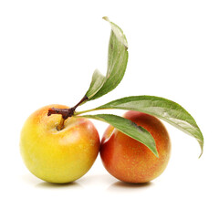 Sweet plum isolated on white background 