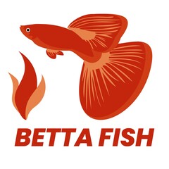 Betta fish vector illustration for your personal and company logo. Modern fish brand identity, poster, banner and print. Fish mascot character.