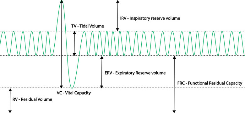 Spirometry Curve analyses. Illustration of spirometry curves.