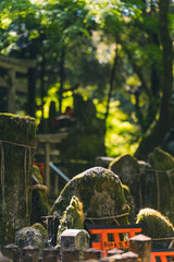 Fushimi inari from Kyoto,Japan