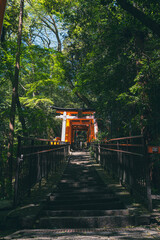 Fushimi inari from Kyoto,Japan