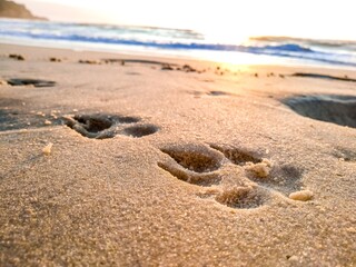 sand beach with waves