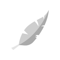feather icon, flat icon vector illustration isolated on a white background. for animal themes, writing and others