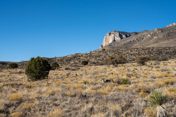 Fototapeta na wymiar El Capitan Rises Above the Desert Valley Floor