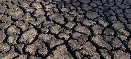 Earth cracked because of drought. The global shortage of water on the planet. Global warming concept.
